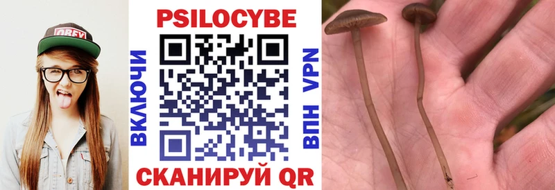 Галлюциногенные грибы Psilocybine cubensis  Мичуринск 