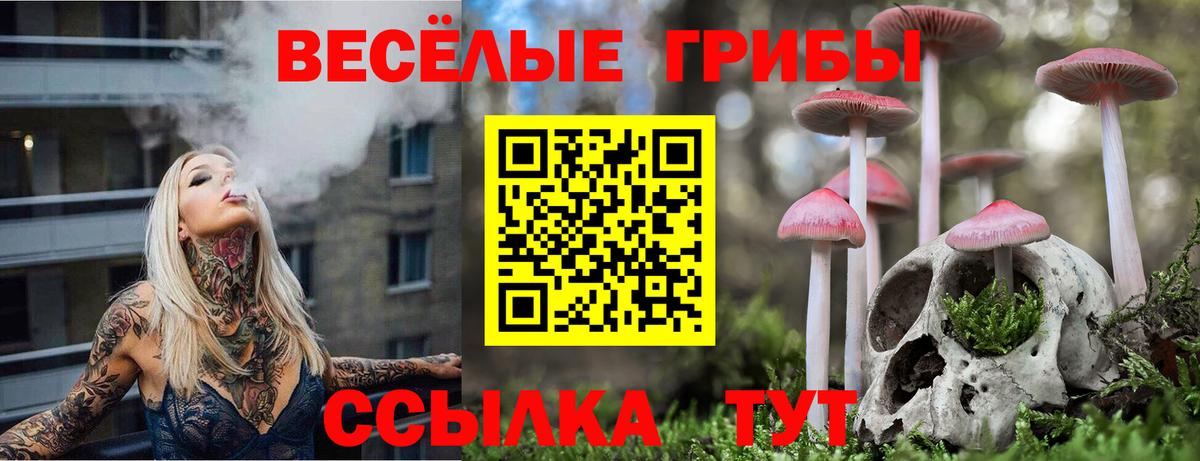 Галлюциногенные грибы мухоморы Мичуринск